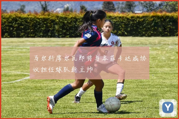 马尔科席尔瓦即将与本菲卡达成协议担任球队新主帅